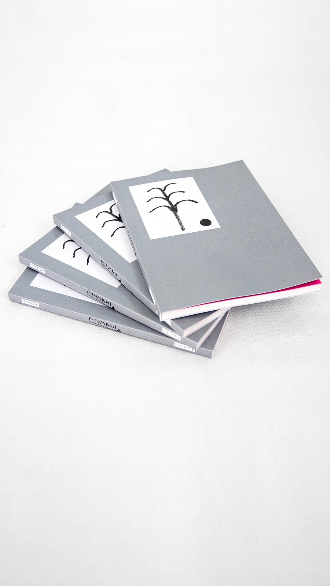 Signed Book WORDSxSWORD - Image 2